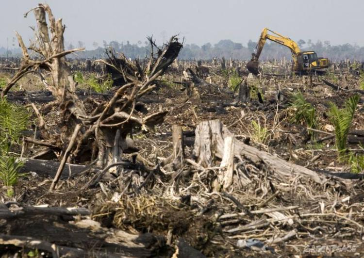 Foto: habitatadvocate.com.au Foto: habitatadvocate.com.au